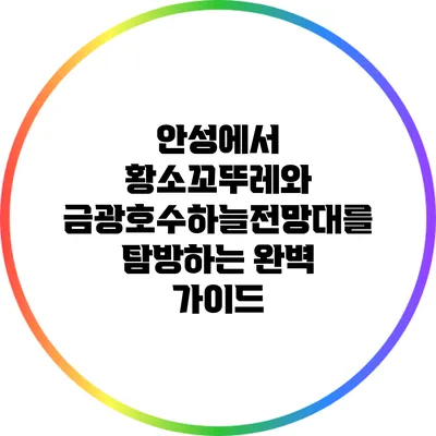 안성에서 황소꼬뚜레와 금광호수하늘전망대를 탐방하는 완벽 가이드