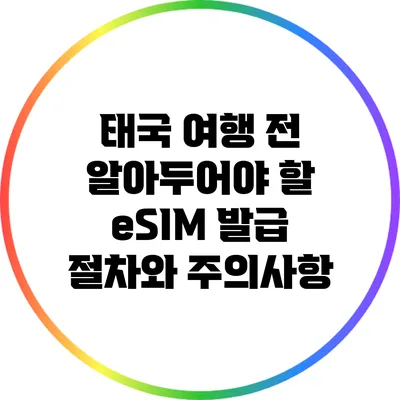 태국 여행 전 알아두어야 할 eSIM 발급 절차와 주의사항