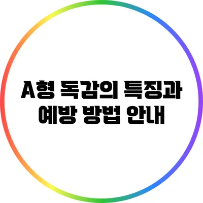 A형 독감의 특징과 예방 방법 안내