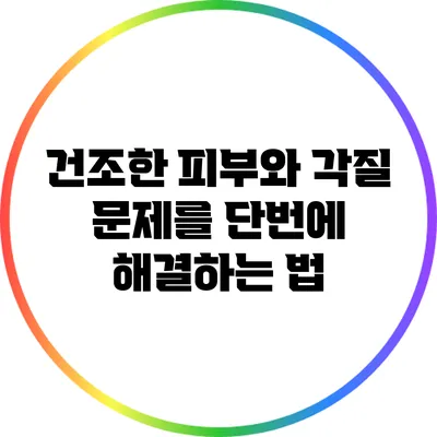 건조한 피부와 각질 문제를 단번에 해결하는 법