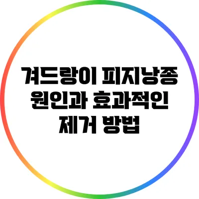 겨드랑이 피지낭종: 원인과 효과적인 제거 방법