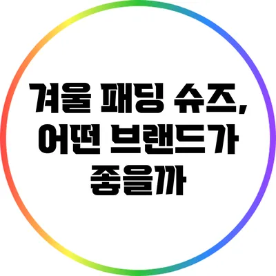 겨울 패딩 슈즈, 어떤 브랜드가 좋을까?