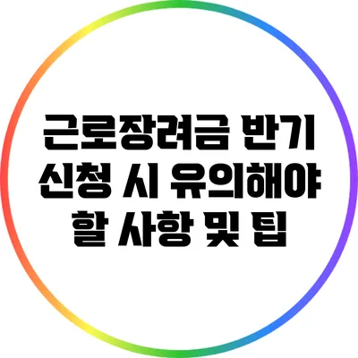 근로장려금 반기 신청 시 유의해야 할 사항 및 팁
