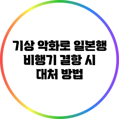 기상 악화로 일본행 비행기 결항 시 대처 방법