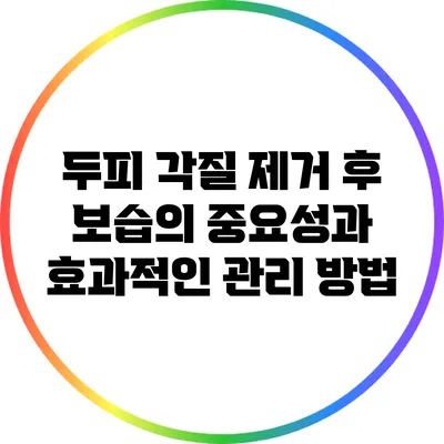 두피 각질 제거 후 보습의 중요성과 효과적인 관리 방법