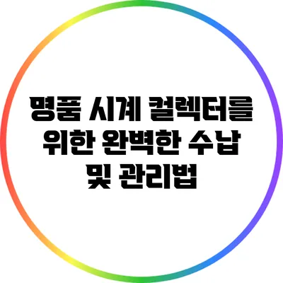명품 시계 컬렉터를 위한 완벽한 수납 및 관리법