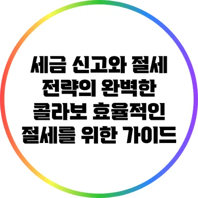 세금 신고와 절세 전략의 완벽한 콜라보: 효율적인 절세를 위한 가이드