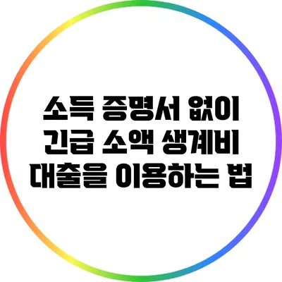 소득 증명서 없이 긴급 소액 생계비 대출을 이용하는 법