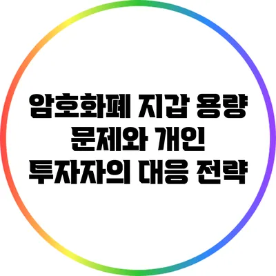 암호화폐 지갑 용량 문제와 개인 투자자의 대응 전략