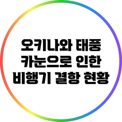 오키나와 태풍 카눈으로 인한 비행기 결항 현황