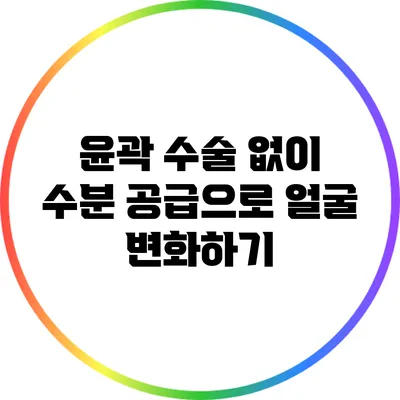 윤곽 수술 없이 수분 공급으로 얼굴 변화하기