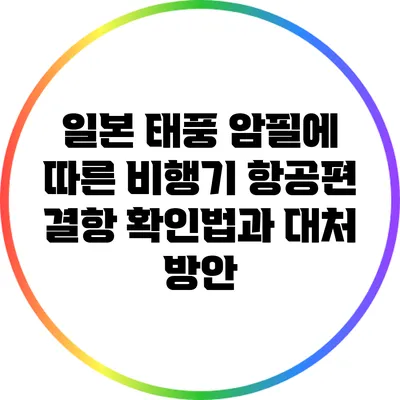 일본 태풍 암필에 따른 비행기 항공편 결항 확인법과 대처 방안
