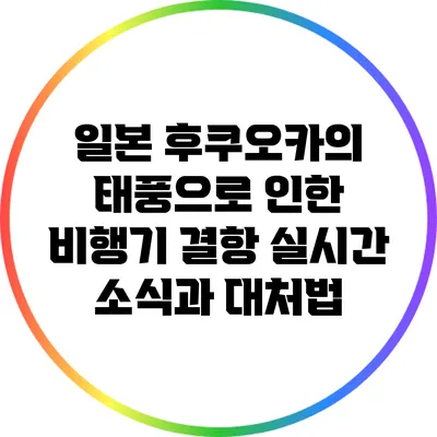 일본 후쿠오카의 태풍으로 인한 비행기 결항: 실시간 소식과 대처법