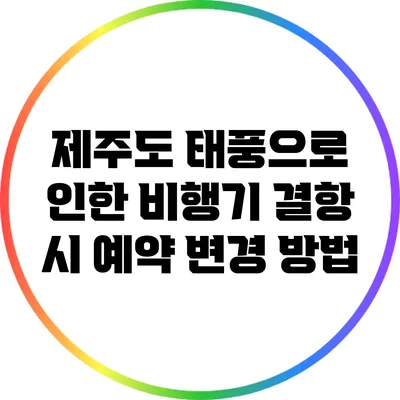 제주도 태풍으로 인한 비행기 결항 시 예약 변경 방법