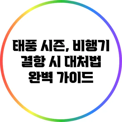 태풍 시즌, 비행기 결항 시 대처법 완벽 가이드