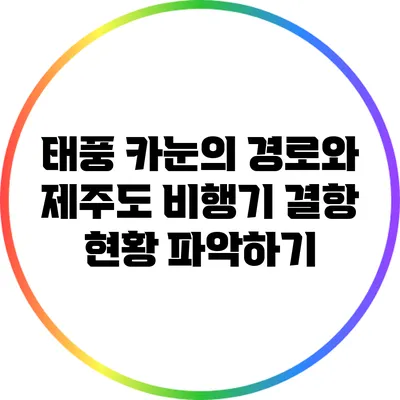 태풍 카눈의 경로와 제주도 비행기 결항 현황 파악하기