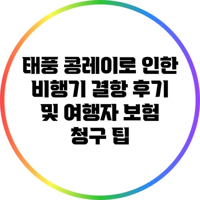 태풍 콩레이로 인한 비행기 결항 후기 및 여행자 보험 청구 팁