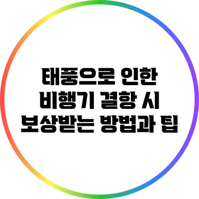 태풍으로 인한 비행기 결항 시 보상받는 방법과 팁