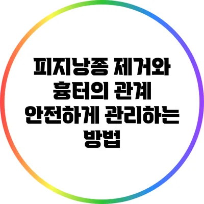 피지낭종 제거와 흉터의 관계: 안전하게 관리하는 방법