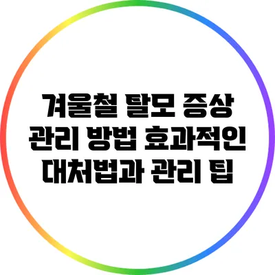 겨울철 탈모 증상 관리 방법: 효과적인 대처법과 관리 팁