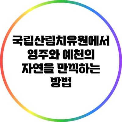 국립산림치유원에서 영주와 예천의 자연을 만끽하는 방법