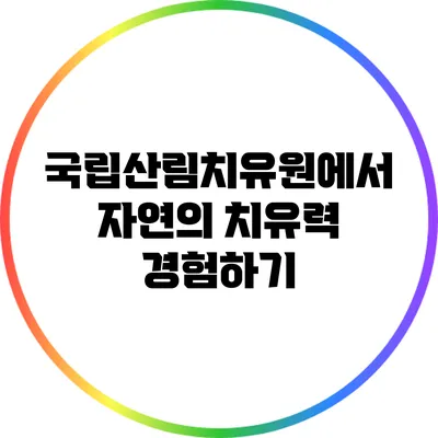 국립산림치유원에서 자연의 치유력 경험하기