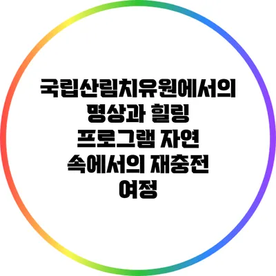 국립산림치유원에서의 명상과 힐링 프로그램: 자연 속에서의 재충전 여정