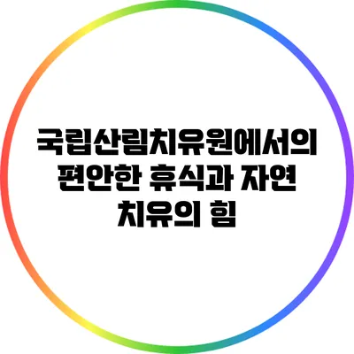 국립산림치유원에서의 편안한 휴식과 자연 치유의 힘
