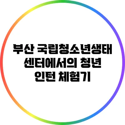 부산 국립청소년생태센터에서의 청년 인턴 체험기