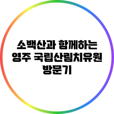 소백산과 함께하는 영주 국립산림치유원 방문기