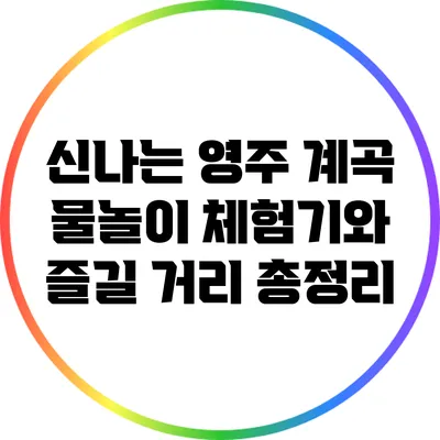 신나는 영주 계곡 물놀이 체험기와 즐길 거리 총정리