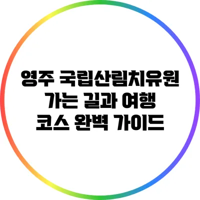 영주 국립산림치유원 가는 길과 여행 코스 완벽 가이드