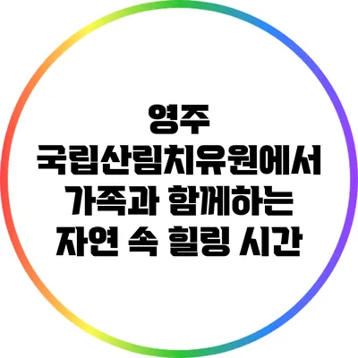 영주 국립산림치유원에서 가족과 함께하는 자연 속 힐링 시간