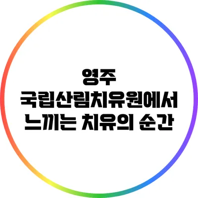 영주 국립산림치유원에서 느끼는 치유의 순간