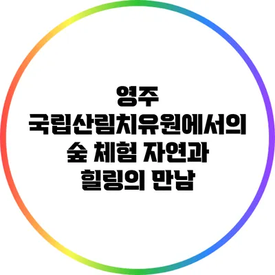 영주 국립산림치유원에서의 숲 체험: 자연과 힐링의 만남