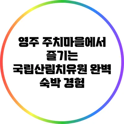 영주 주치마을에서 즐기는 국립산림치유원 완벽 숙박 경험
