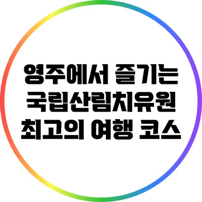 영주에서 즐기는 국립산림치유원 최고의 여행 코스