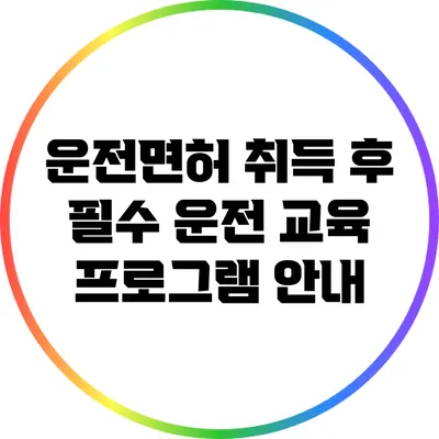 운전면허 취득 후 필수 운전 교육 프로그램 안내