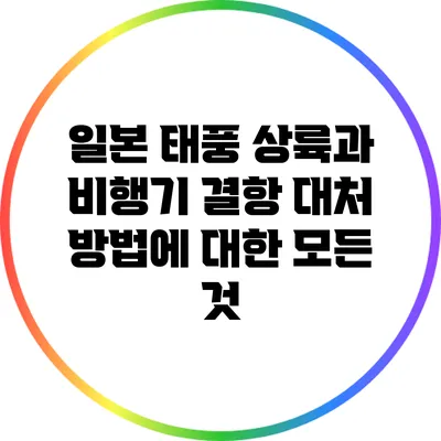 일본 태풍 상륙과 비행기 결항 대처 방법에 대한 모든 것