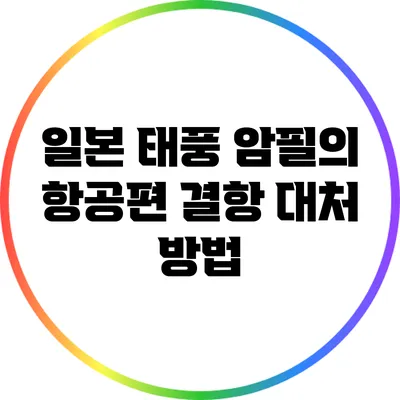 일본 태풍 암필의 항공편 결항 대처 방법