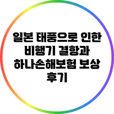 일본 태풍으로 인한 비행기 결항과 하나손해보험 보상 후기