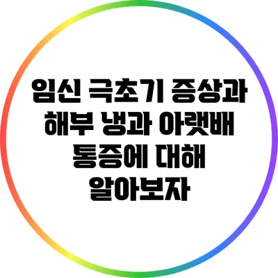 임신 극초기 증상과 해부: 냉과 아랫배 통증에 대해 알아보자