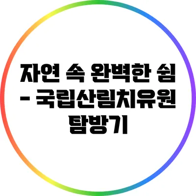 자연 속 완벽한 쉼 - 국립산림치유원 탐방기