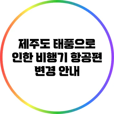 제주도 태풍으로 인한 비행기 항공편 변경 안내