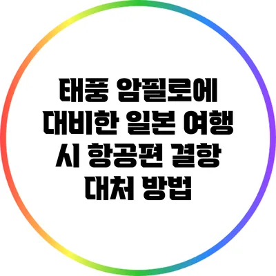 태풍 암필로에 대비한 일본 여행 시 항공편 결항 대처 방법