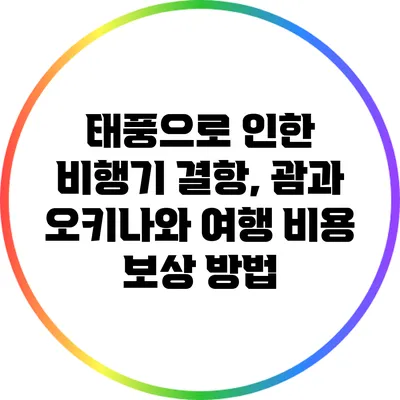 태풍으로 인한 비행기 결항, 괌과 오키나와 여행 비용 보상 방법