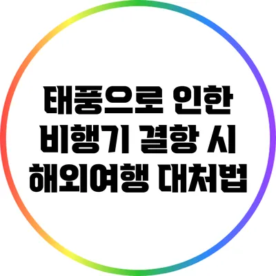 태풍으로 인한 비행기 결항 시 해외여행 대처법