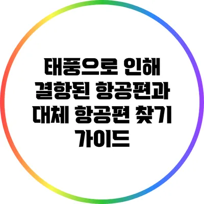 태풍으로 인해 결항된 항공편과 대체 항공편 찾기 가이드