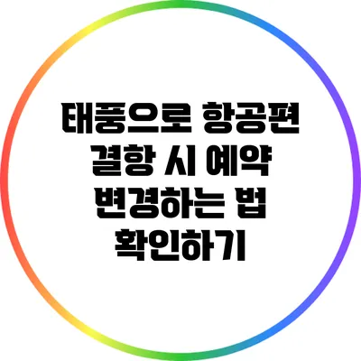 태풍으로 항공편 결항 시 예약 변경하는 법 확인하기