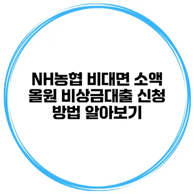NH농협 비대면 소액 올원 비상금대출 신청 방법 알아보기